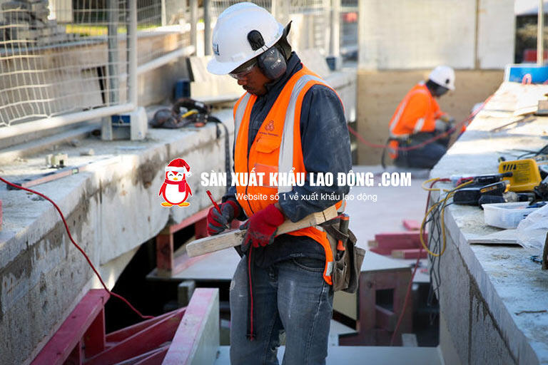 Nhiều quốc gia nhận lao động đến 50 tuổi